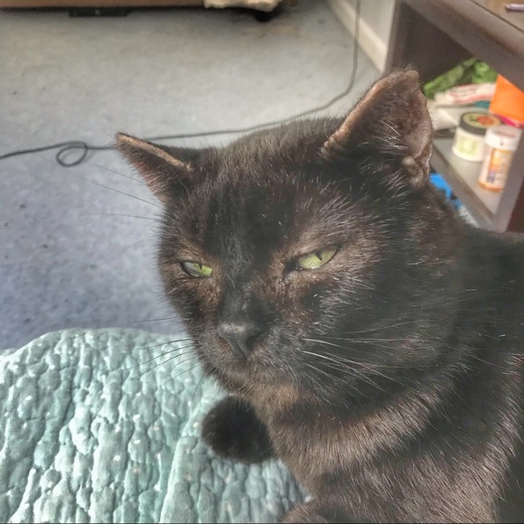 Eli! @RenegadeRevivalVintage & @LightlySaucedRetro - Picture 2 of 7